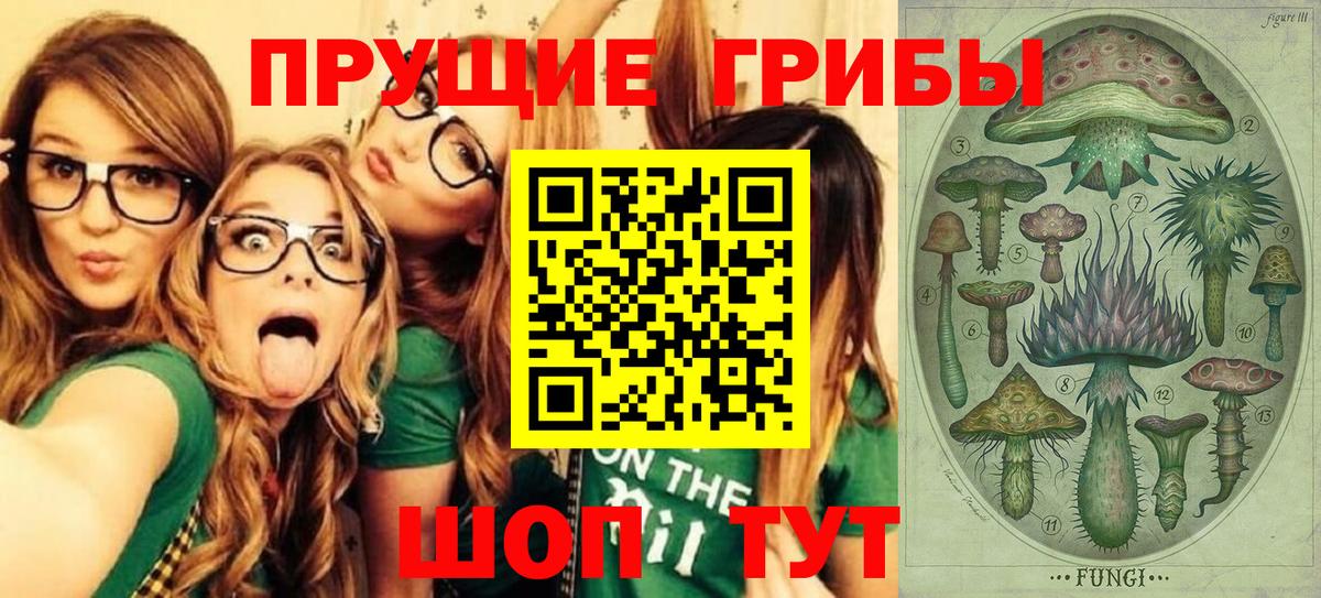 Галлюциногенные грибы Magic Shrooms  купить наркотики сайты  Родники  Вход с VPN  Галлюциногенные грибы мухоморы 